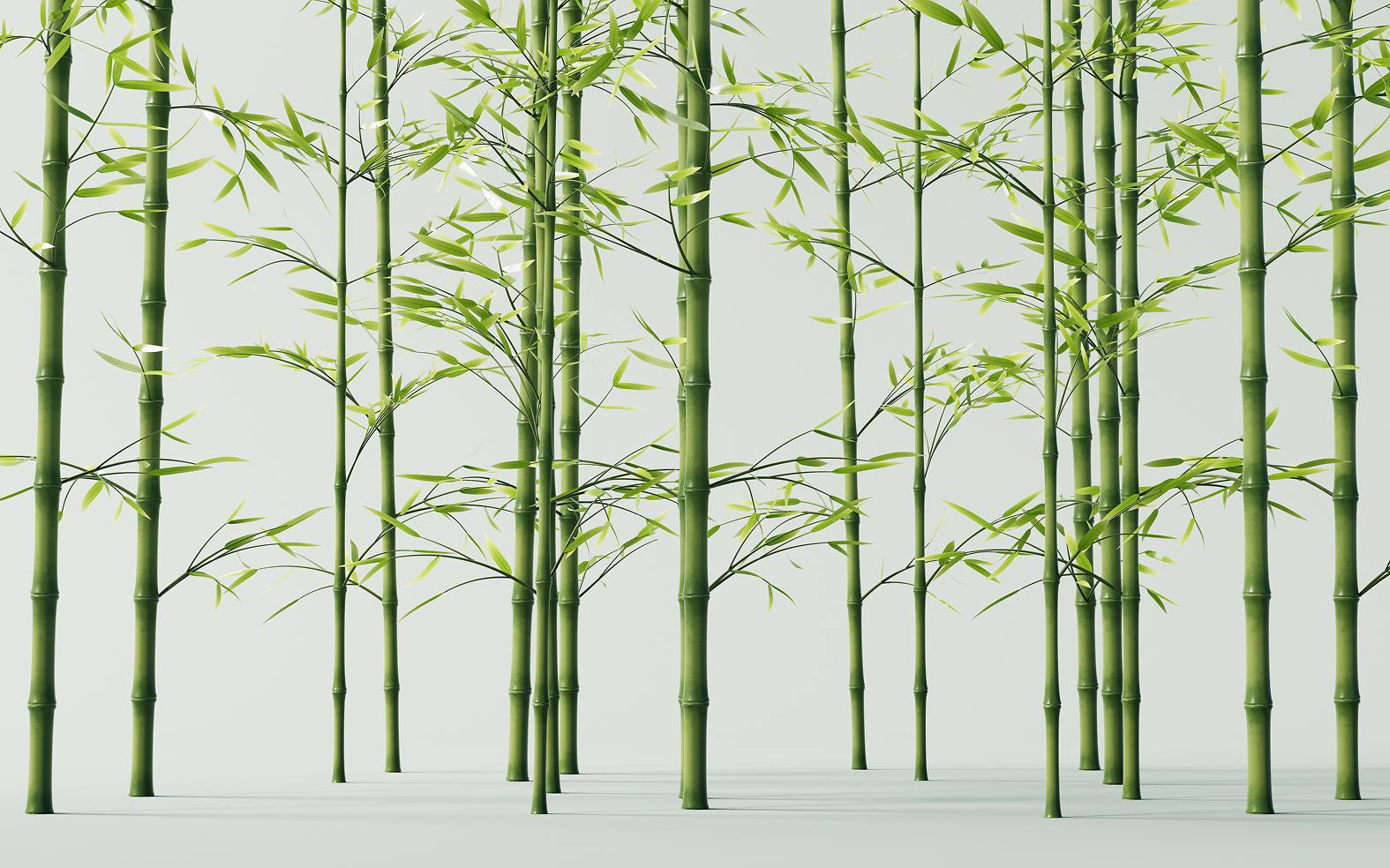 Digital wellbeing background 3